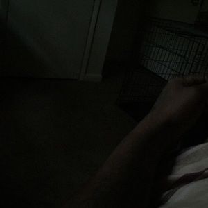 Meet your Posher, Darryl